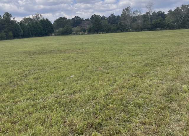Property at 0 Smith Store Rd, Covington, GA 30016