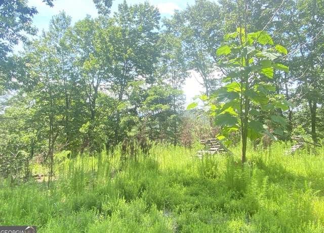 Property at 282 Highway 60 N, Dahlonega, GA 30533