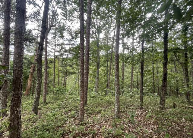 Property at 1314 Arrow Ct, Ranger, GA 30734