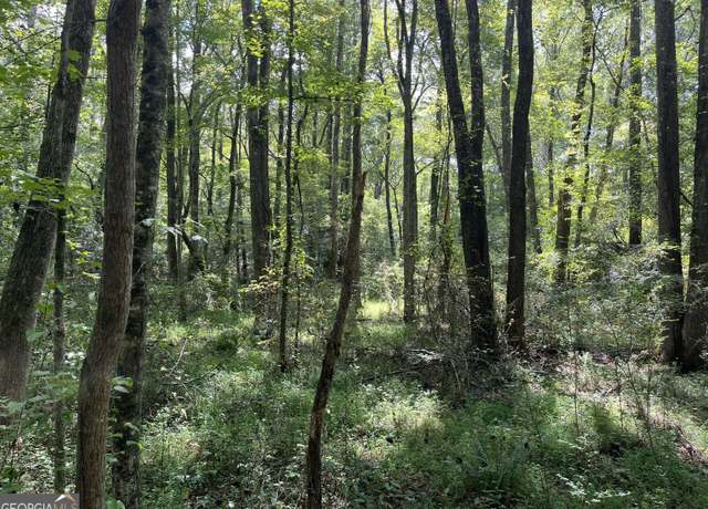 Property at 0 Ga Highway 120, Tallapoosa, GA 30176