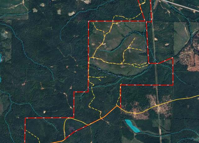Property at 650+/- AC Talbotton Hwy, Butler, GA 31006