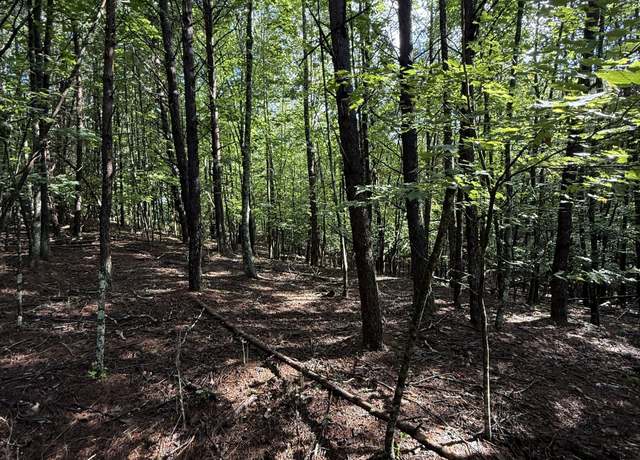 Property at LOT 5 Marci Ln, Sautee Nacoochee, GA 30571