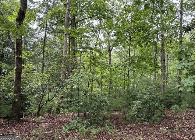 Property at 0 Seneca Dr, Ellijay, GA 30540