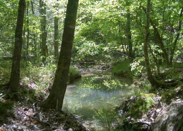 Property at 0 NE Nicklesville Rd #9637, Ranger, GA 30734