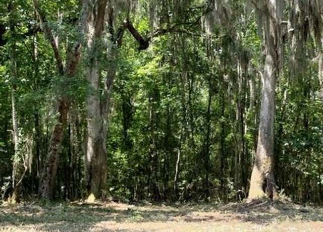Property at 0 Briar Patch Lot #28 Pl, Townsend, GA 31331