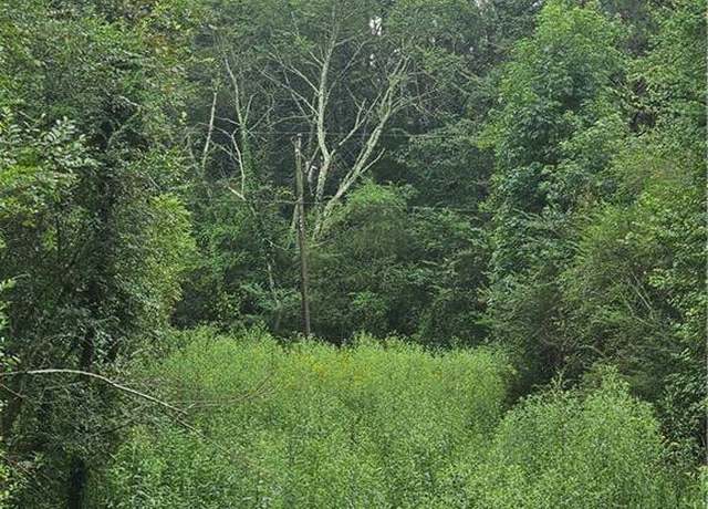 Property at 0 Crowe Springs Spur NW, Adairsville, GA 30103