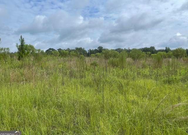 Property at 264 Whitaker Ln, Ailey, GA 30410