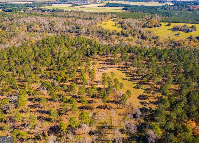 Property at 0 Brown Hill Rd, Elko, GA 31025