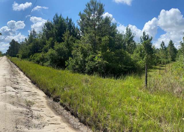 Property at 0000 Chancey Rd, Patterson, GA 31557