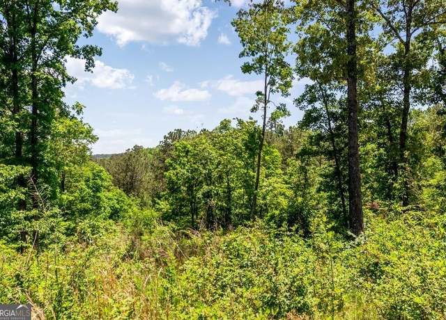 Property at LT160 Shallow Water Trl, Talking Rock, GA 30175