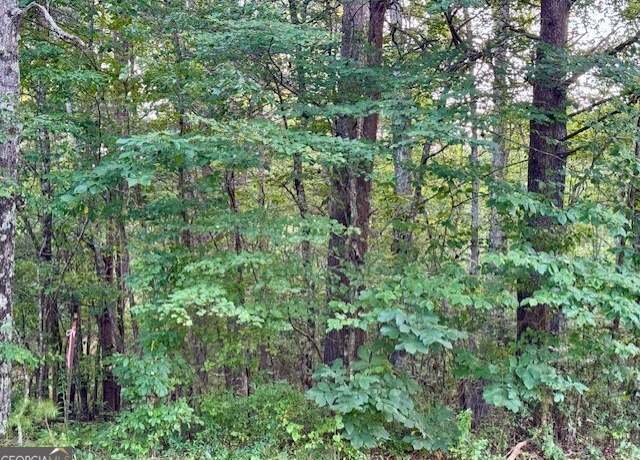 Property at 0 Gilreath Mill Rd, Menlo, GA 30731