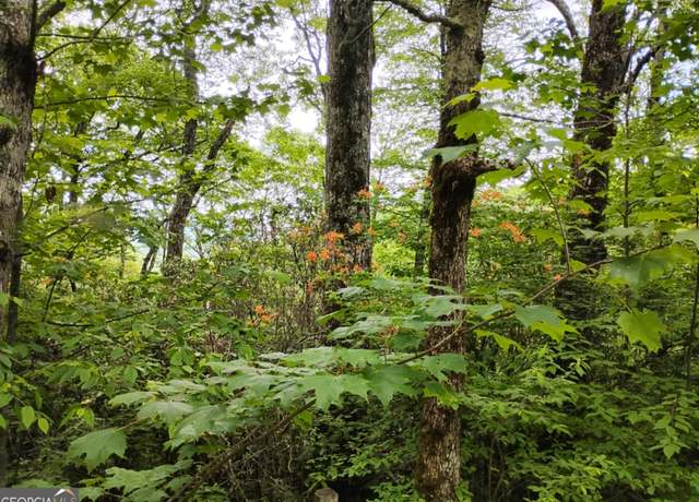Property at 0 LOT 51 Bayberry Ln, Sky Valley, GA 30537