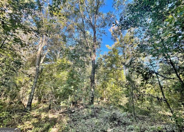 Property at 0 Mud Boggin Rd, Jeffersonville, GA 31044