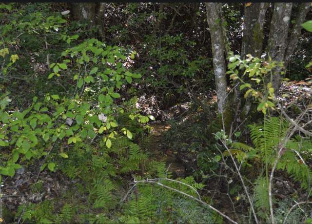 Property at #1 Willow Ridge 7a, Warne, NC 28909
