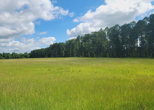 Property at 0 Briar Patch Way, Reynolds, GA 31076
