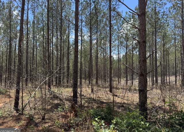 Property at LOT 1 Lipham Rd, Franklin, GA 30217