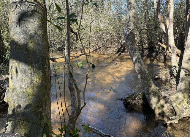 Property at 004 Mt Sinai Church Rd, Butler, GA 31006