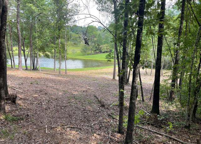 Photo of 3.78 ACRES Living Water Dr, Mccaysville, GA 30555