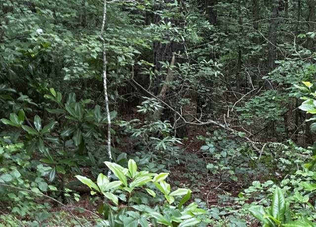 Property at 0 Ayers Rd, Bowdon, GA 30108