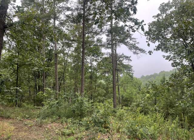 Property at 425 Marble Ct, Ranger, GA 30734