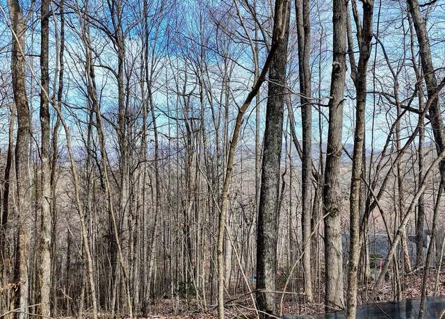 Property at 5 Overlook At Y.h., Young Harris, GA 30582