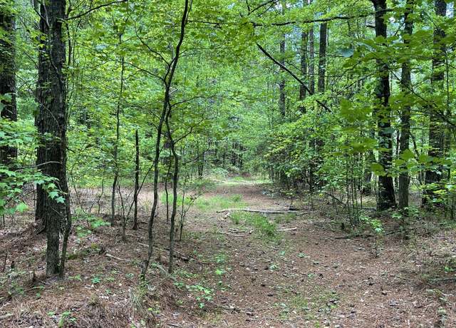 Property at 0 Mann Rd, Tyrone, GA 30290