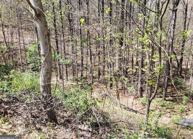 Property at 438 Fieldcrest Dr, Dallas, GA 30132