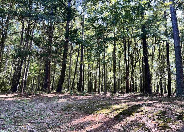 Property at 600 Hillview Tract 2 Rd, Hampton, GA 30228