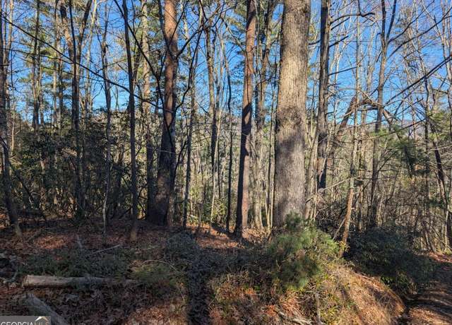 Property at LOT J251 Pine Ridge Ct, Ellijay, GA 30536