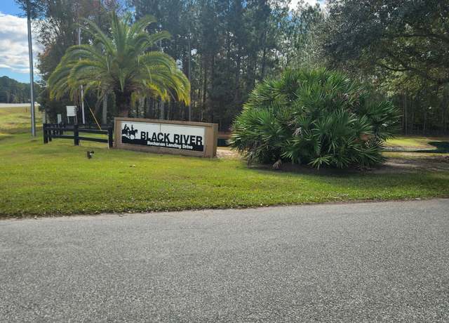 Property at 0 Janelle's River Dr, Folkston, GA 31537
