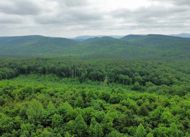 Property at 0 Hwy 151, Ringgold, GA 30736