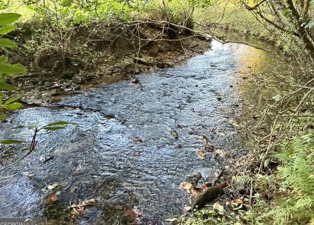 Property at 2AC Rainey Valley Ln, Morganton, GA 30560