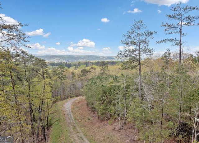 Property at 287 Lookout Valley Trail Trl, Talking Rock, GA 30175