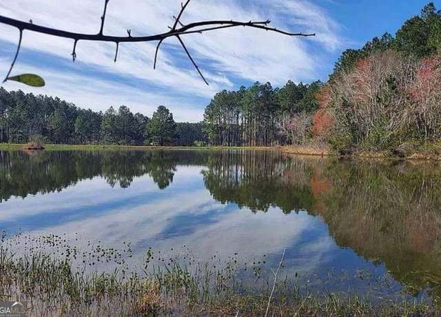 Property at 221 W 1st St, Arabi, GA 31712