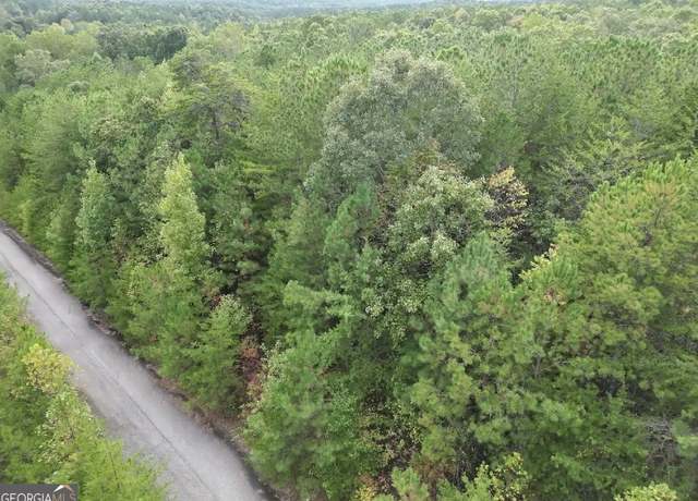 Property at 53 Skyline Dr, Braswell, GA 30153