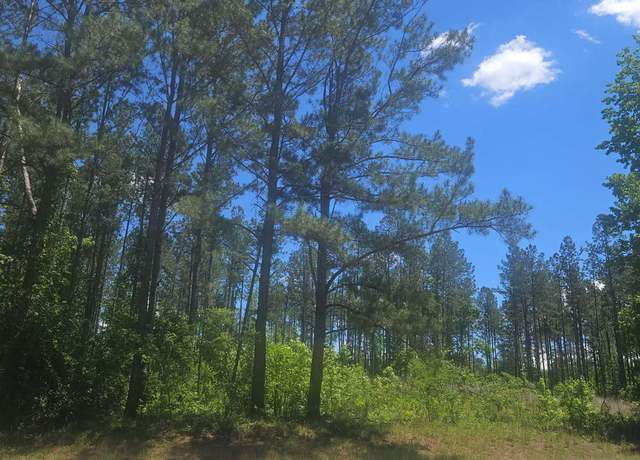 Property at LOT #4 Highway 123, Mitchell, GA 30820