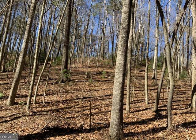 Property at 0 Walhalla Ct #388, Ellijay, GA 30540