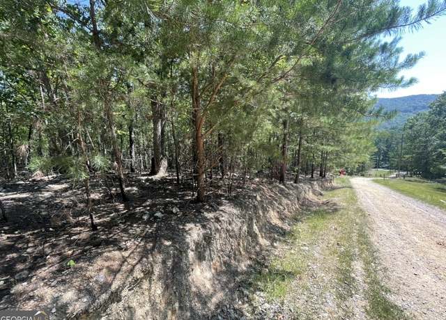 Property at 0 Sloppy Floyd Lake Rd, Summerville, GA 30747