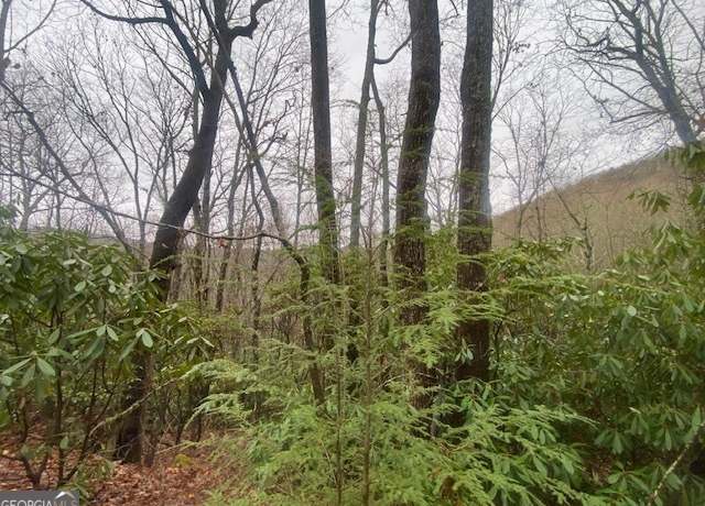 Property at LOT 17 Ridgepole Dr, Sky Valley, GA 30537