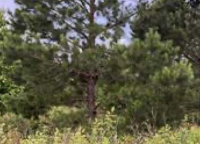 Property at 0 Sandy Ln, Hawkinsville, GA 31036