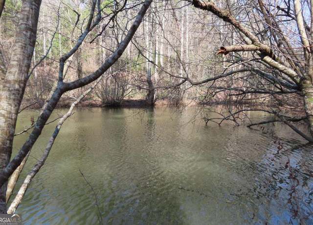 Property at 0 Blazing Star Rd, Ellijay, GA 30540