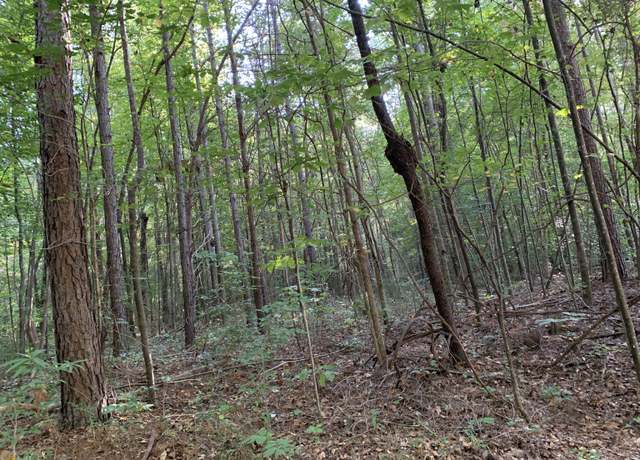 Property at 5.10 ACRES Hwy 123, Toccoa, GA 30577