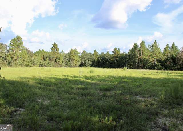 Property at 467 Mccall Rd, Butler, GA 31006