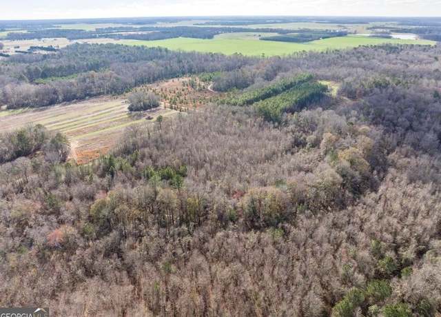 Property at 0 Scott Rd, Elko, GA 31025
