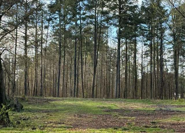 Property at 0 Gus Robinson Rd SW, Powder Springs, GA 30127