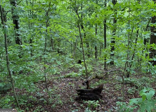 Property at 8 Black Bear Trl, Hiawassee, GA 30548