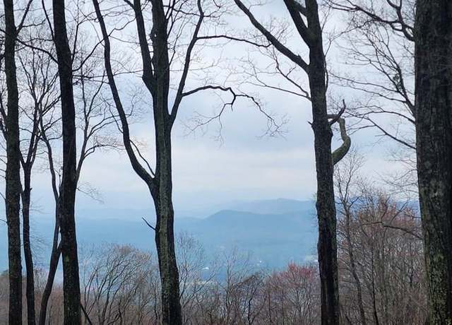 Property at 9 Wilderness Creek Way, Murphy, NC 28906