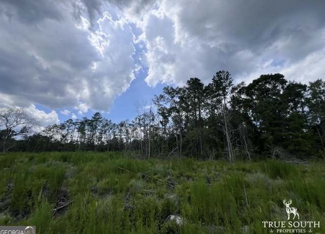 Property at 2800 Youngs Island Rd NW, Townsend, GA 31331