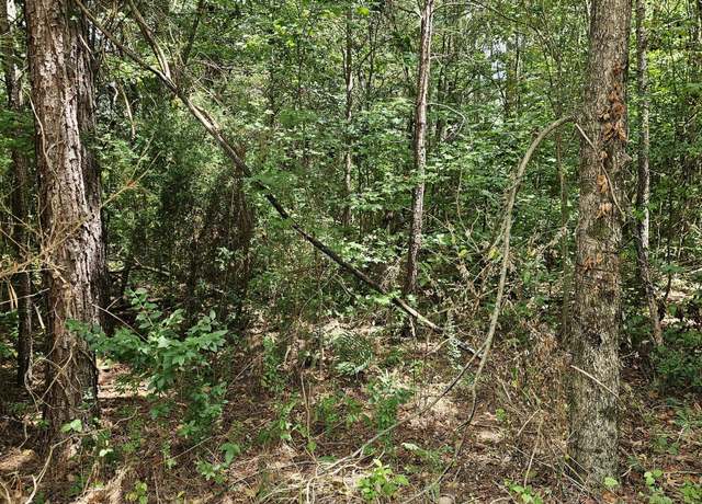 Property at 327 Jeffers Rd, Buchanan, GA 30113