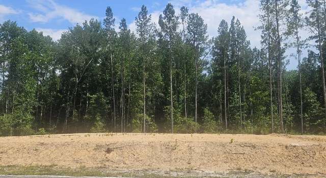 Photo of LOT #1 County Line Rd, Mitchell, GA 30820